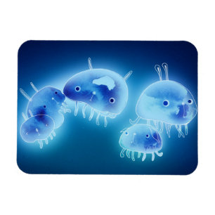 Jelly fish 2013 magneet