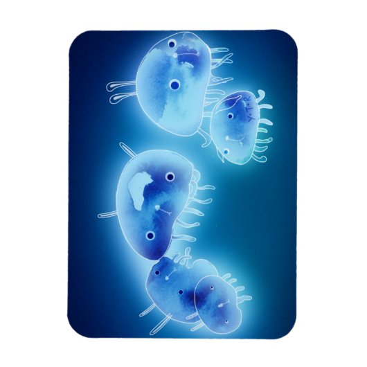 Jelly fish 2013 magneet (Verticaal)