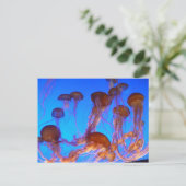 Jelly Fish Briefkaart (Staand voorkant)