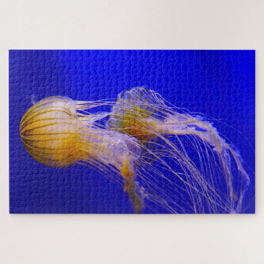 Jelly Fish Legpuzzel (Horizontaal)