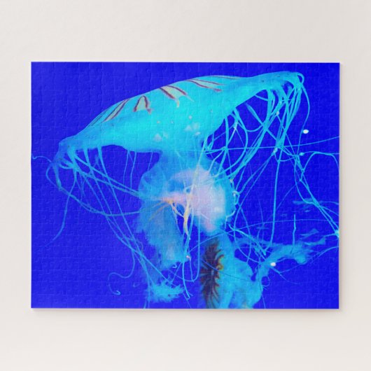 Jelly Fish Legpuzzel (Horizontaal)
