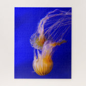Jelly Fish Legpuzzel (Verticaal)