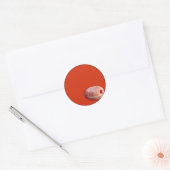 Jelly Fled Donut Ronde Sticker (Envelop)