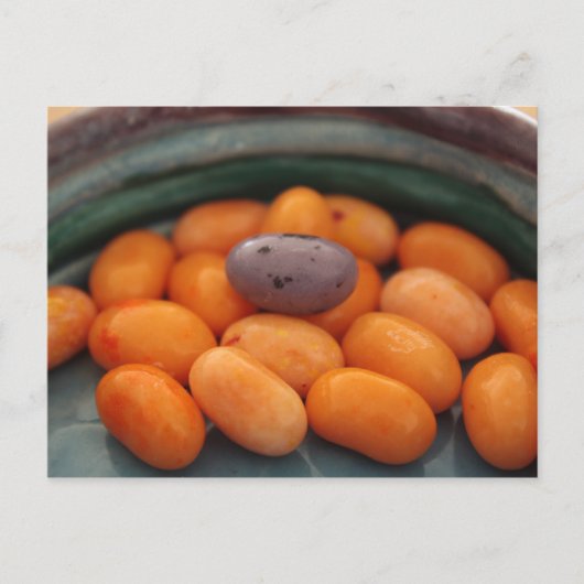 Jellybean John 6:27 Carte postale (Devant)