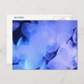 JELLYFISH BRIEFKAART (Voorkant / Achterkant)
