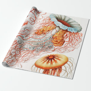 Jellyfish, Discomedusae, door Ernst Haeckel Cadeaupapier