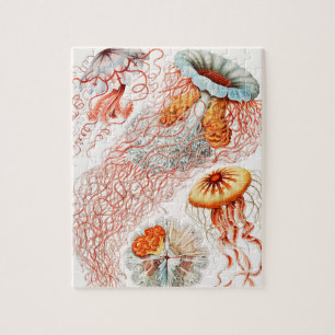 Jellyfish, Discomedusae, door Ernst Haeckel Legpuzzel