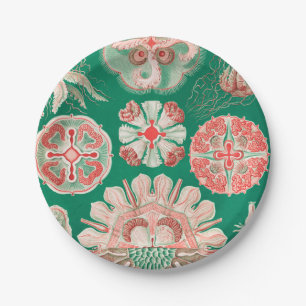 Jellyfish, Discomedusae, door Ernst Haeckel Papieren Bordje