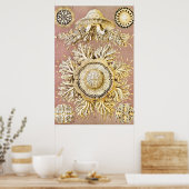 Jellyfish, Discomedusae, door Ernst Haeckel Poster (Keuken)