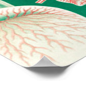 Jellyfish, Discomedusae, door Ernst Haeckel Poster (Hoek)