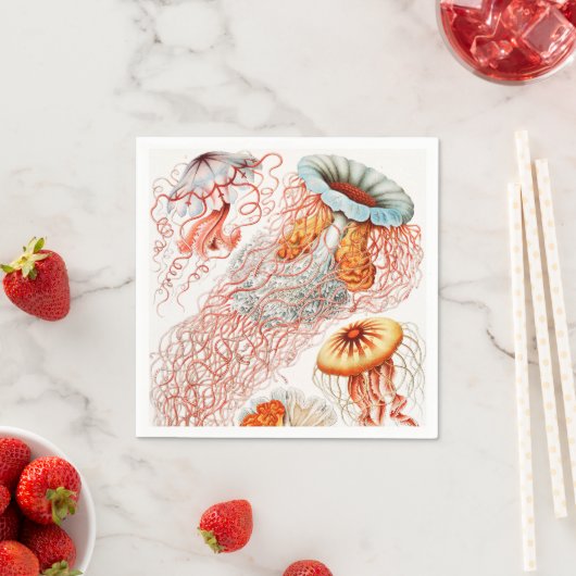 Jellyfish, Discomedusae, door Ernst Haeckel Servet (Insitu)