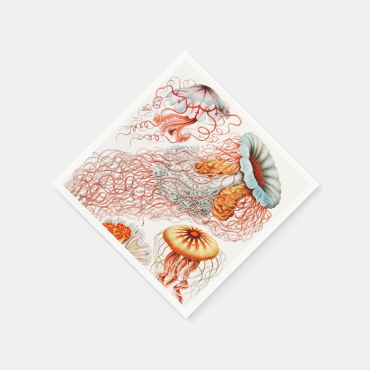 Jellyfish, Discomedusae, door Ernst Haeckel Servet (Hoek)