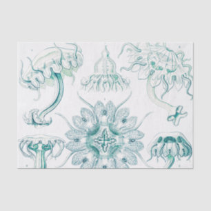 Jellyfish, Discomedusae, door Ernst Haeckel Tissuepapier