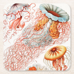 Jellyfish, Discomedusae, door Ernst Haeckel Vierkante Kartonnen Onderzetter