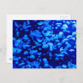 Jellyfish in Deep Blue Zee Briefkaart (Voorkant / Achterkant)