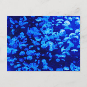 Jellyfish in Deep Blue Zee Briefkaart