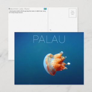 Jellyfish Lake, Palau Reisbriefkaart Briefkaart