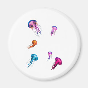 jellyfish magnet