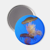 Jellyfish Magnet Magneet (Voorkant / Achterkant)