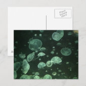 Jellyfish Post Card Briefkaart (Voorkant / Achterkant)