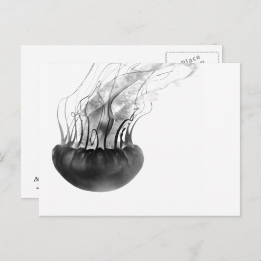 Jellyfish Postcard Briefkaart (Voorkant / Achterkant)