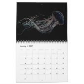 Jellyfish Psychédélique Calendrier 3 (Jan 2027)