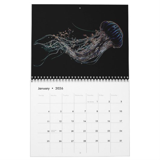 Jellyfish Psychédélique Calendrier 3 (Jan 2026)
