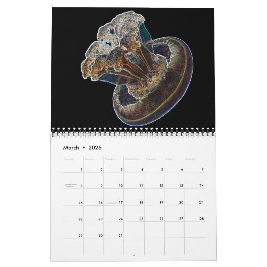 Jellyfish Psychédélique Calendrier 3 (Mar 2026)