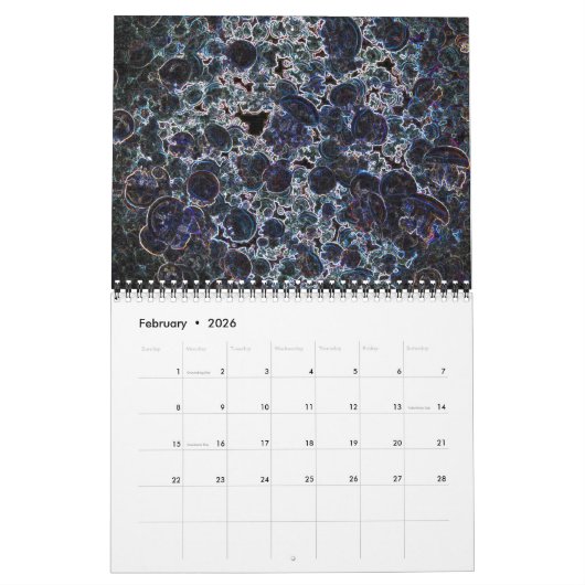 Jellyfish Psychédélique Calendrier 3 (Feb 2026)