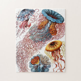 Jellyfish (Scheibenquallen) door Ernst Haeckel Legpuzzel