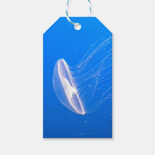 Jellyfish Tentacles Cadeaulabel (Voorkant)
