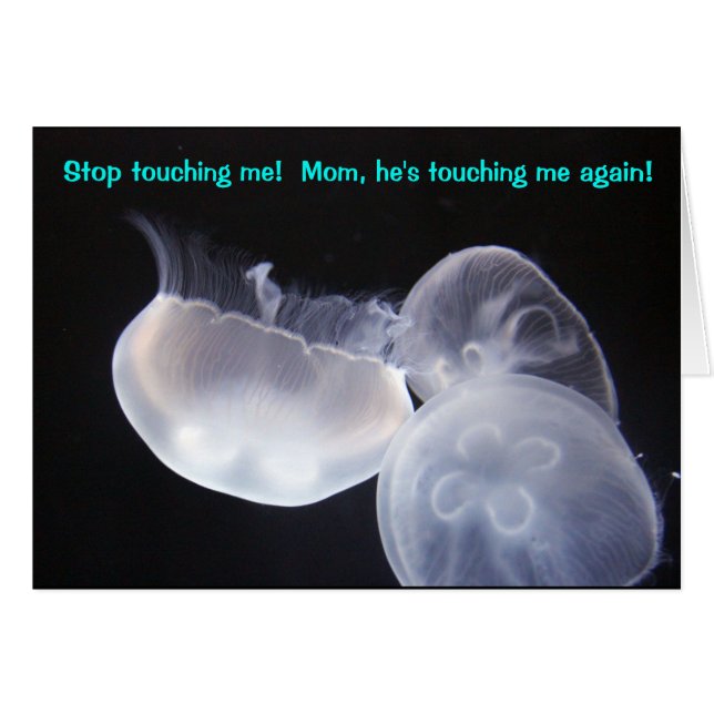 Jellyfish Touch (Devant horizontal)