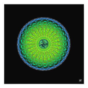 Jellyfish umbrella foto afdruk