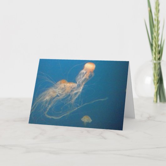 JellyFish Wenskaart Kaart (Voorkant)