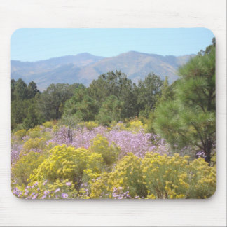 Jemez Mountains Muismat