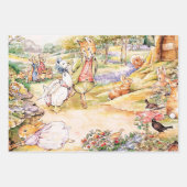 Jemima Puddle Duck loopt met Fox Inpakpapier Vel (Voorkant)