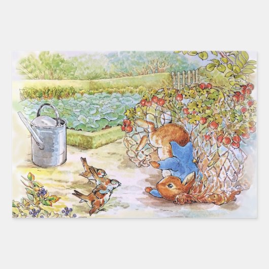Jemima Puddle en Duck Peter de Konijn Mix Inpakpapier Vel (Voorkant 2)