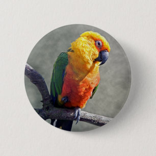 Jenday Conure Badge Ronde Button 5,7 Cm