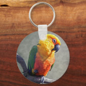 Jenday Conure Keyring Sleutelhanger (Voorkant)