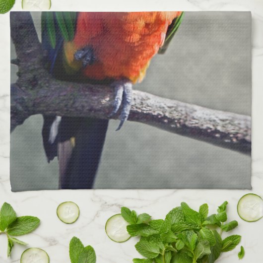 Jenday Conure Kitchen Towel Theedoek (Gevouwen)