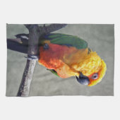 Jenday Conure Kitchen Towel Theedoek (Horizontaal)