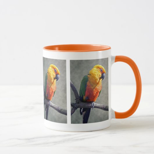 Jenday Conure Mok (Rechts)