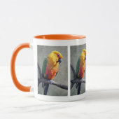 Jenday Conure Mok (Links)