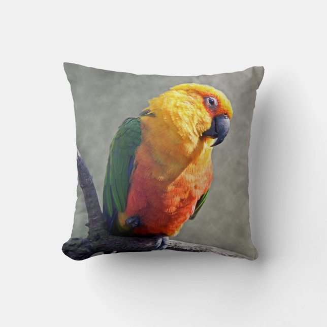 Jenday Conure Pillow Kussen (Voorkant)