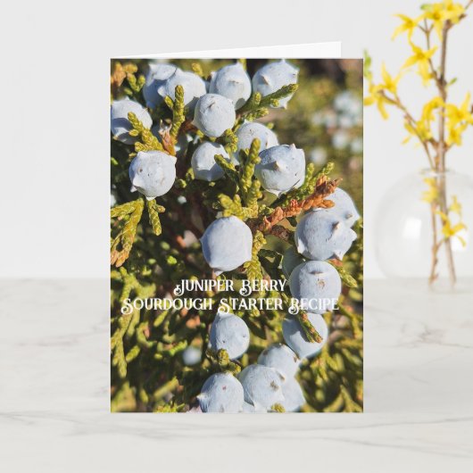 Jeneverbes Sourdough Startersrecept Kaart (Gele Bloem)