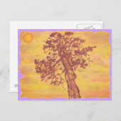 jeneverbes zonsondergang briefkaart (Voorkant / Achterkant)