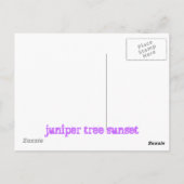 jeneverbes zonsondergang briefkaart (Achterkant)