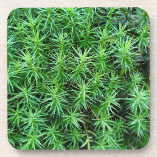 Jeneverbeshaar Pet Moss Bier Onderzetter