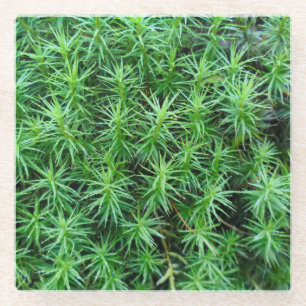 Jeneverbeshaar Pet Moss Glazen Onderzetter