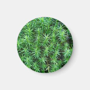 Jeneverbeshaar Pet Moss Magnet Magneet